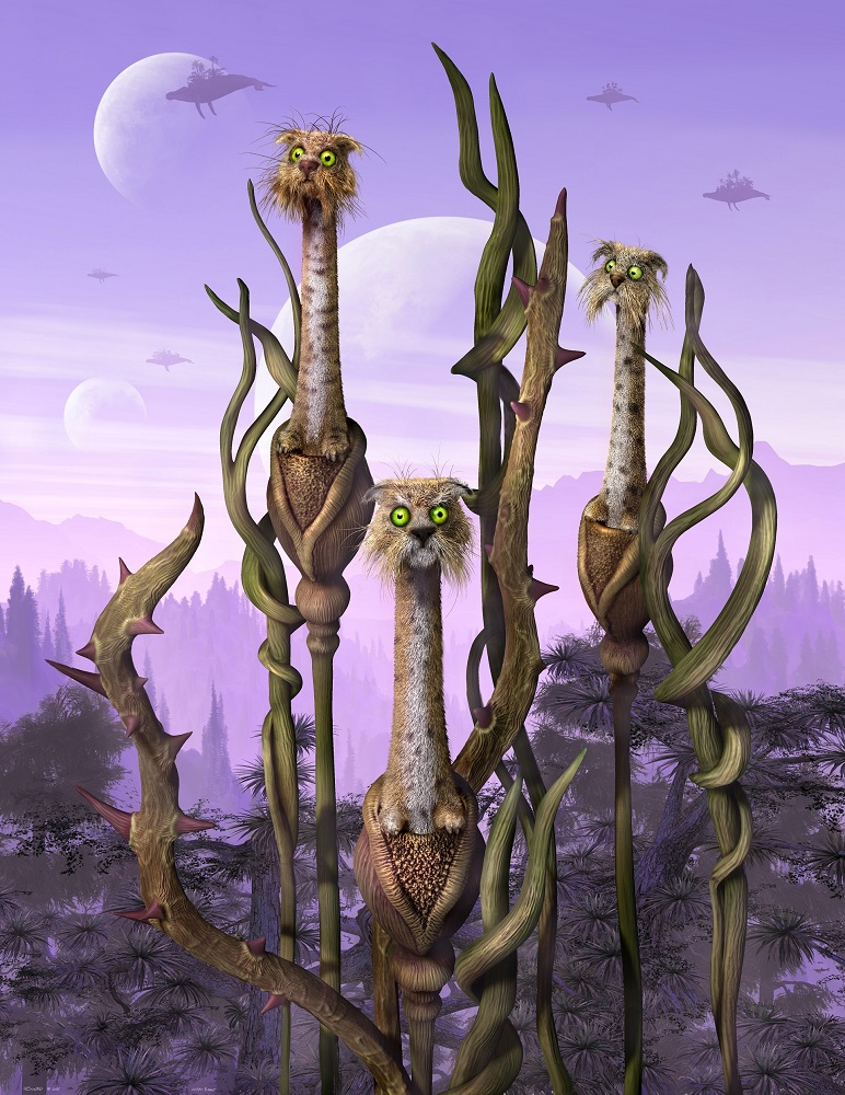 Hiker crossing a rocky stream